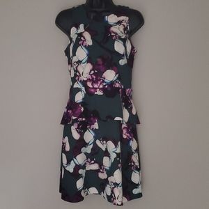 MINT! Banana Republic A-Frame Ruffle Dress SZ 2